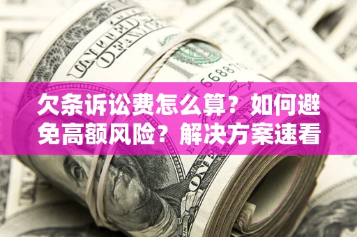 北京欠条诉讼费怎么算？如何避免高额风险？解决方案速看！
