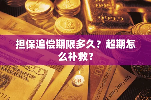 北京担保追偿期限多久？超期怎么补救？