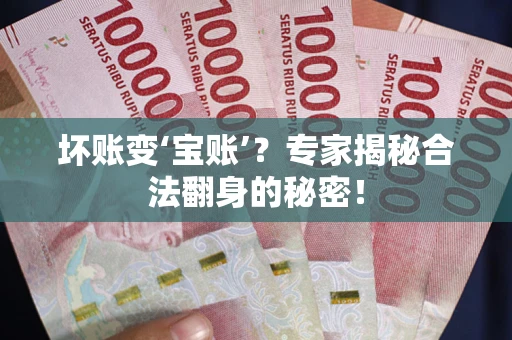 北京坏账变‘宝账’？专家揭秘合法翻身的秘密！