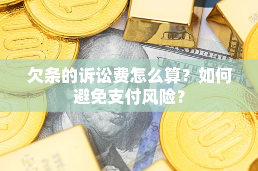 北京欠条的诉讼费怎么算？如何避免支付风险？